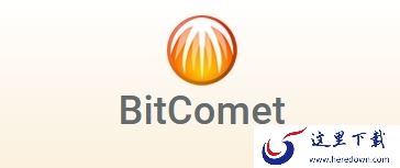 bt是什么意思_bt在电脑软件领域是什么意思