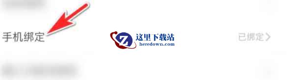 tt语音下载