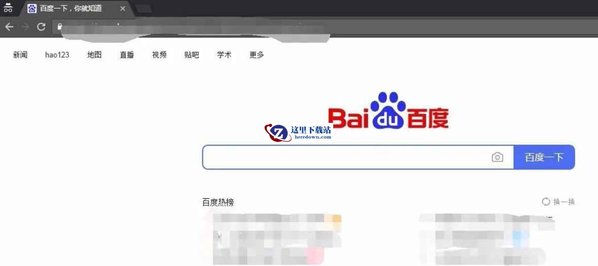 google浏览器,google浏览器最新下载