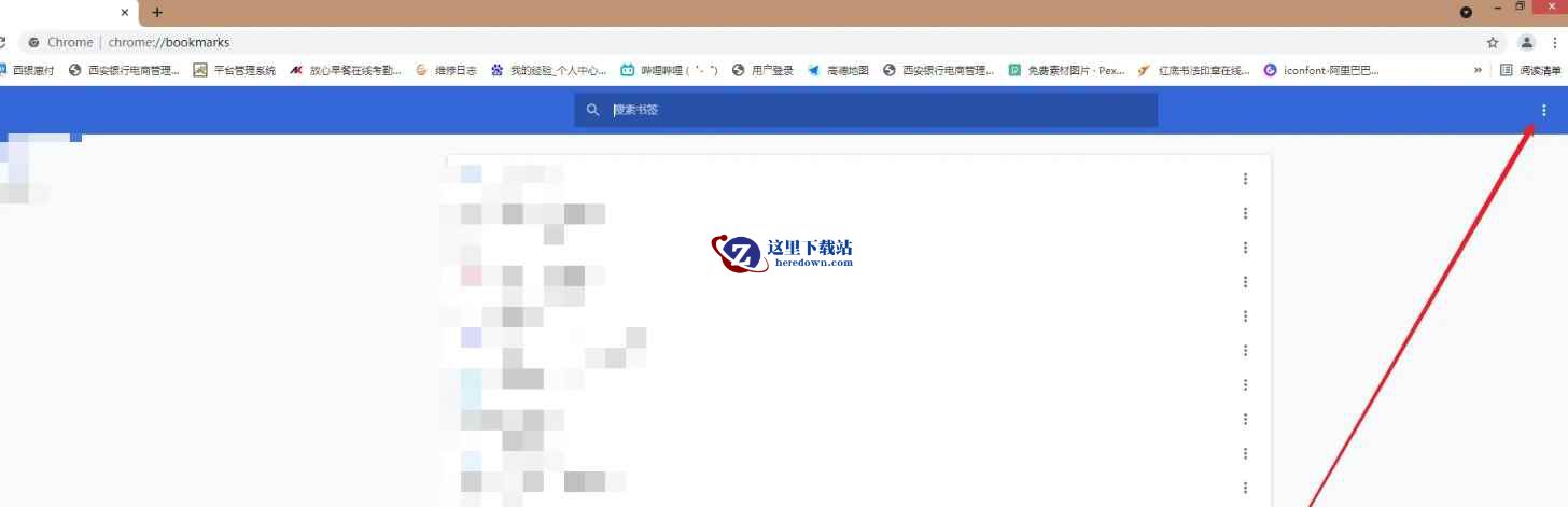 google浏览器,google浏览器最新下载
