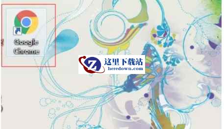 google浏览器,google浏览器最新下载