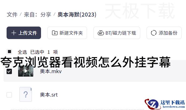 夸克浏览器看视频怎么外挂字幕_夸克浏览器看视频外挂字幕方式