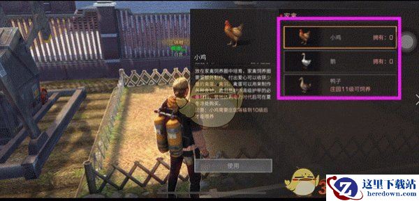 《明日之后》家禽饲养方法分享