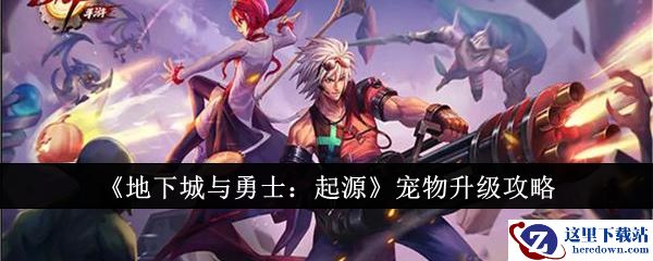 《地下城与勇士：起源》宠物升级攻略