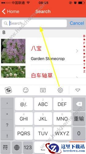 微软识花怎么搜索花朵？微软识花怎么一键识花？图片2
