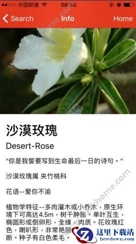 微软识花怎么搜索花朵？微软识花怎么一键识花？图片3