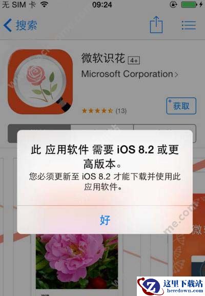 微软识花怎么用不了?微软识花无法下载怎么办?图片1