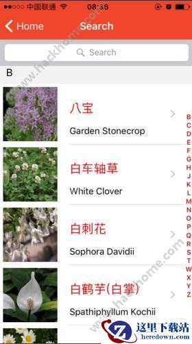 微软识花有哪些功能?微软识花app功能介绍图片3