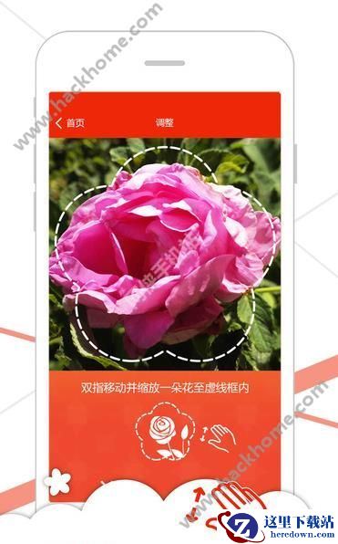 微软识花app怎么用?微软识花软件用法介绍图片2