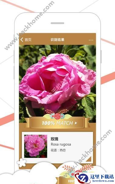 微软识花app怎么用?微软识花软件用法介绍图片3