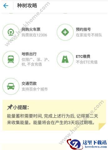 蚂蚁森林几点收能量?蚂蚁森林能量几点更新?图片1
