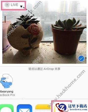 微博live怎么发的?微博live photo怎么用?图片2