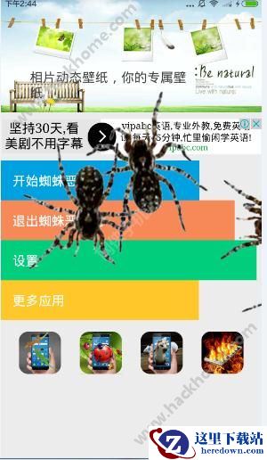 蜘蛛恶作剧怎么用？蜘蛛恶作剧简版使用教程图片2