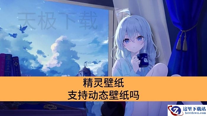 精灵壁纸支持动态壁纸吗_精灵壁纸有没有动态壁纸