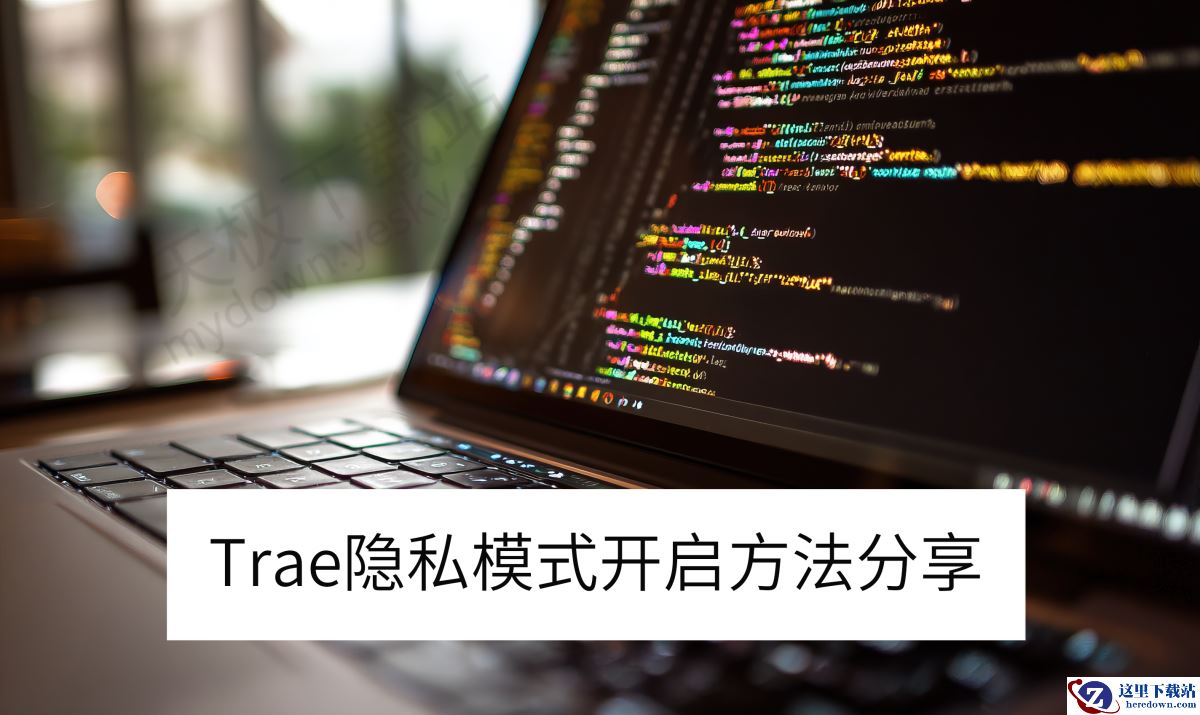 Trae隐私模式开启方法分享