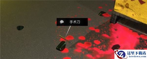 《孙美琪疑案-金凤凰》五级线索——手术刀