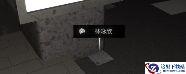 《孙美琪疑案-金凤凰》五级线索——林咏欣