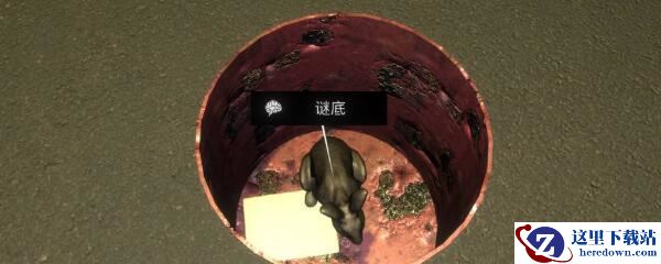 《孙美琪疑案-金凤凰》四级线索——谜底