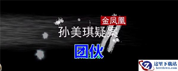 《孙美琪疑案-金凤凰》四级线索——团伙