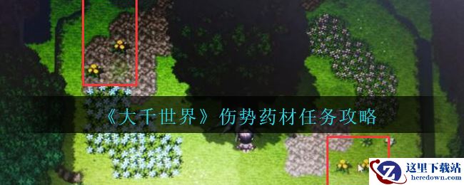 《大千世界》伤势药材任务攻略