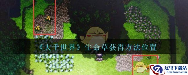 《大千世界》生命草获得方法位置