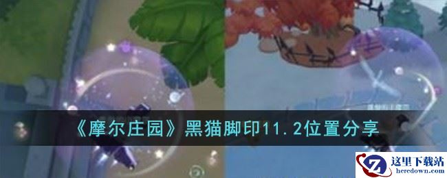 《摩尔庄园》黑猫脚印11.2位置分享