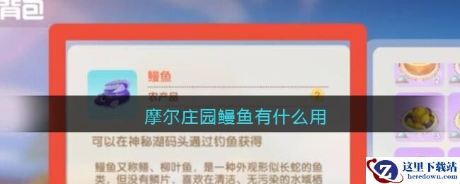 摩尔庄园鳗鱼有什么用
