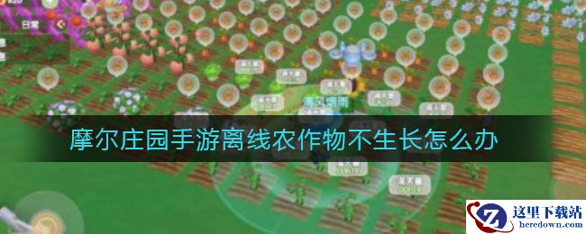 摩尔庄园手游离线农作物不生长怎么办
