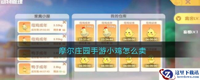 摩尔庄园手游小鸡怎么卖