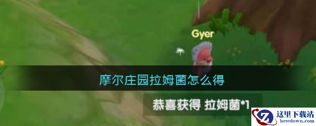 摩尔庄园拉姆菌怎么得