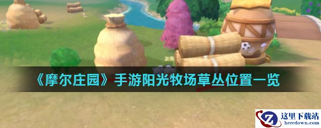 《摩尔庄园》手游阳光牧场草丛位置一览