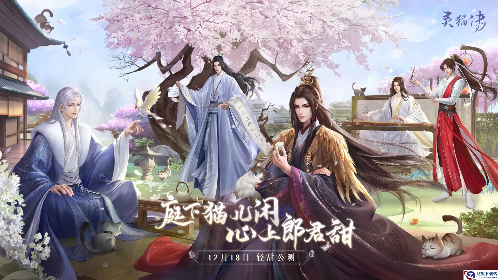 朝夕光年交卷《灵猫传》，当女性向遇上泛娱乐