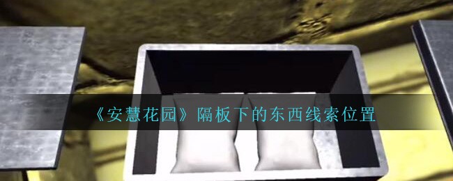 《孙美琪疑案：安慧花园》二级线索——隔板下的东西