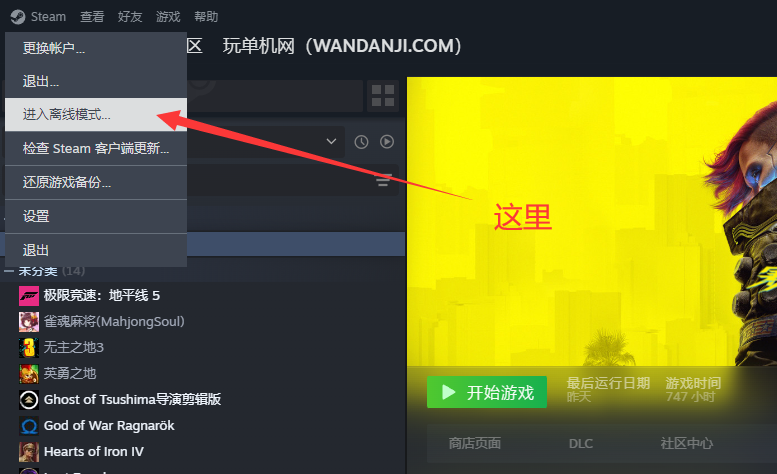 Steam离线账号使用方法配图6