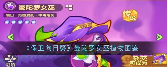 《保卫向日葵》曼陀罗女巫植物图鉴