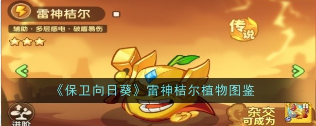 《保卫向日葵》雷神桔尔植物图鉴