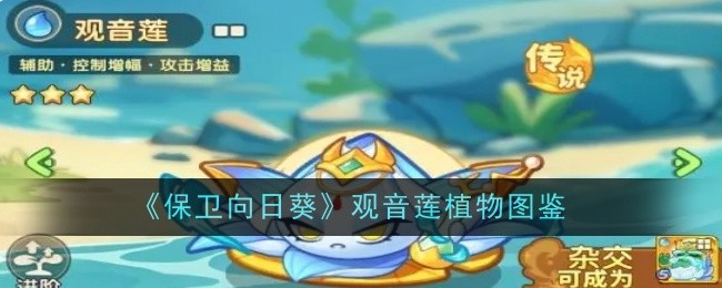 《保卫向日葵》观音莲植物图鉴