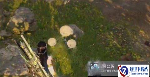 永劫无间手游蒲公英在哪 苟分必备神器